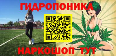 мет Можга