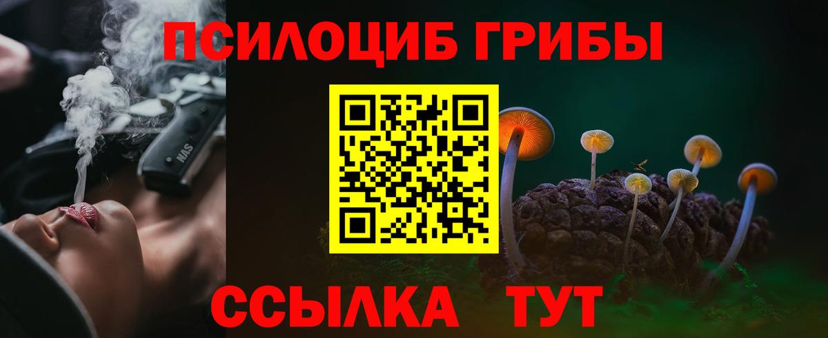 Псилоцибиновые грибы GOLDEN TEACHER Хабаровск